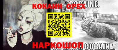 стаф Моздок