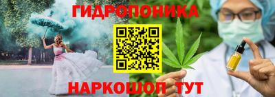 стаф Моздок
