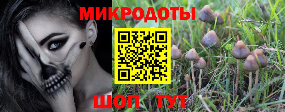 Галлюциногенные грибы Psilocybe  Вход с VPN  Энгельс 