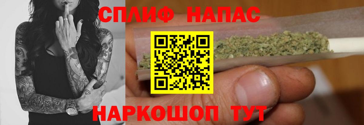Канабис OG Kush Энгельс